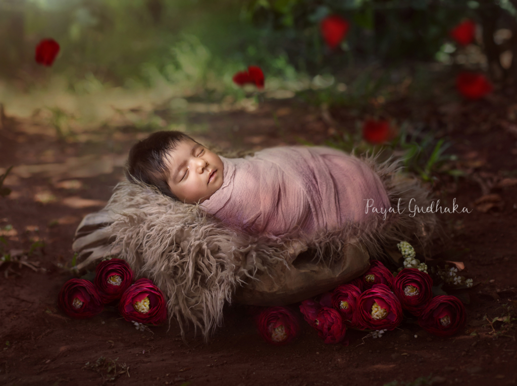 Newborn Baby Photoshoot